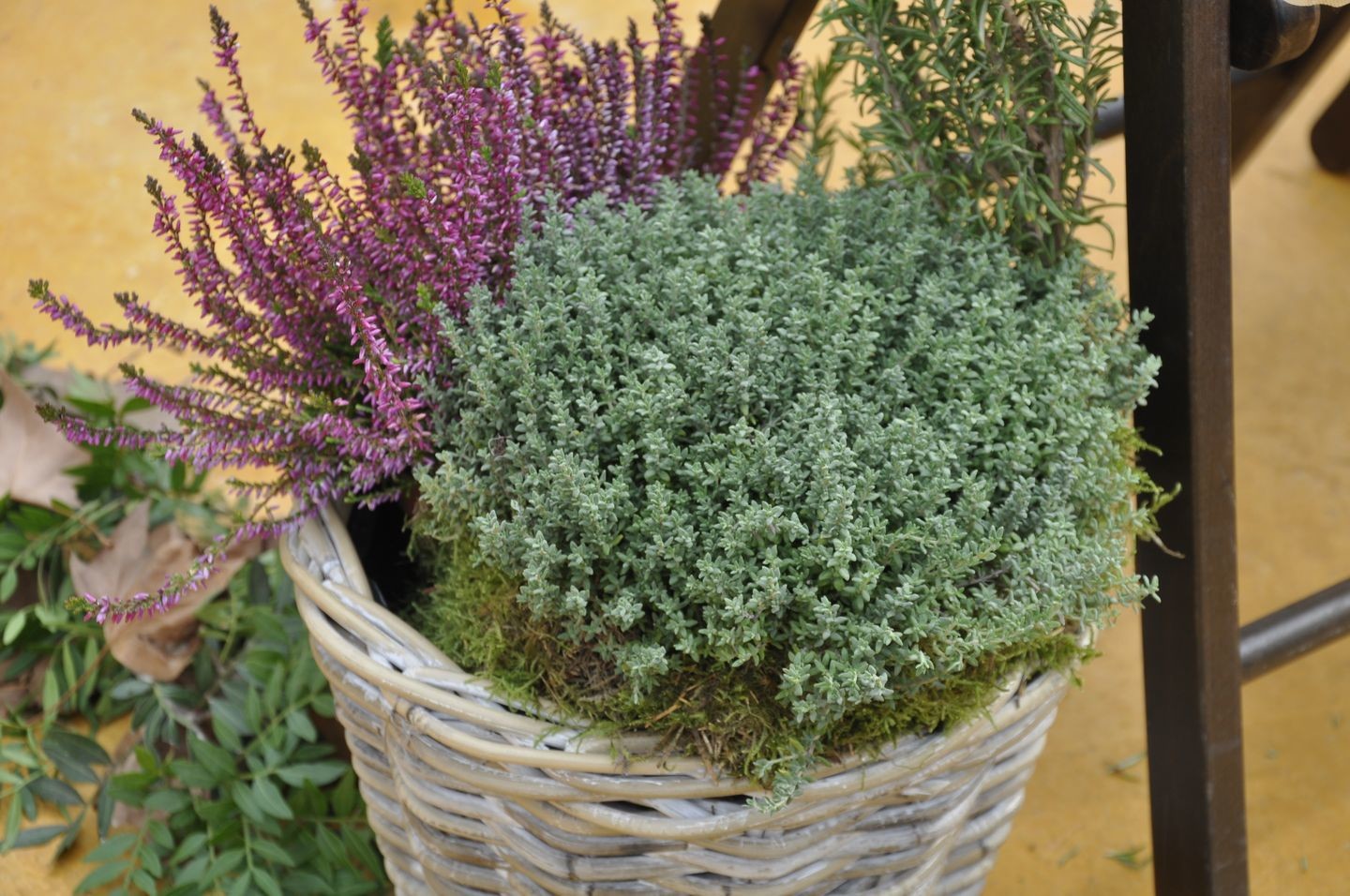 Bodas especiales en Castellón