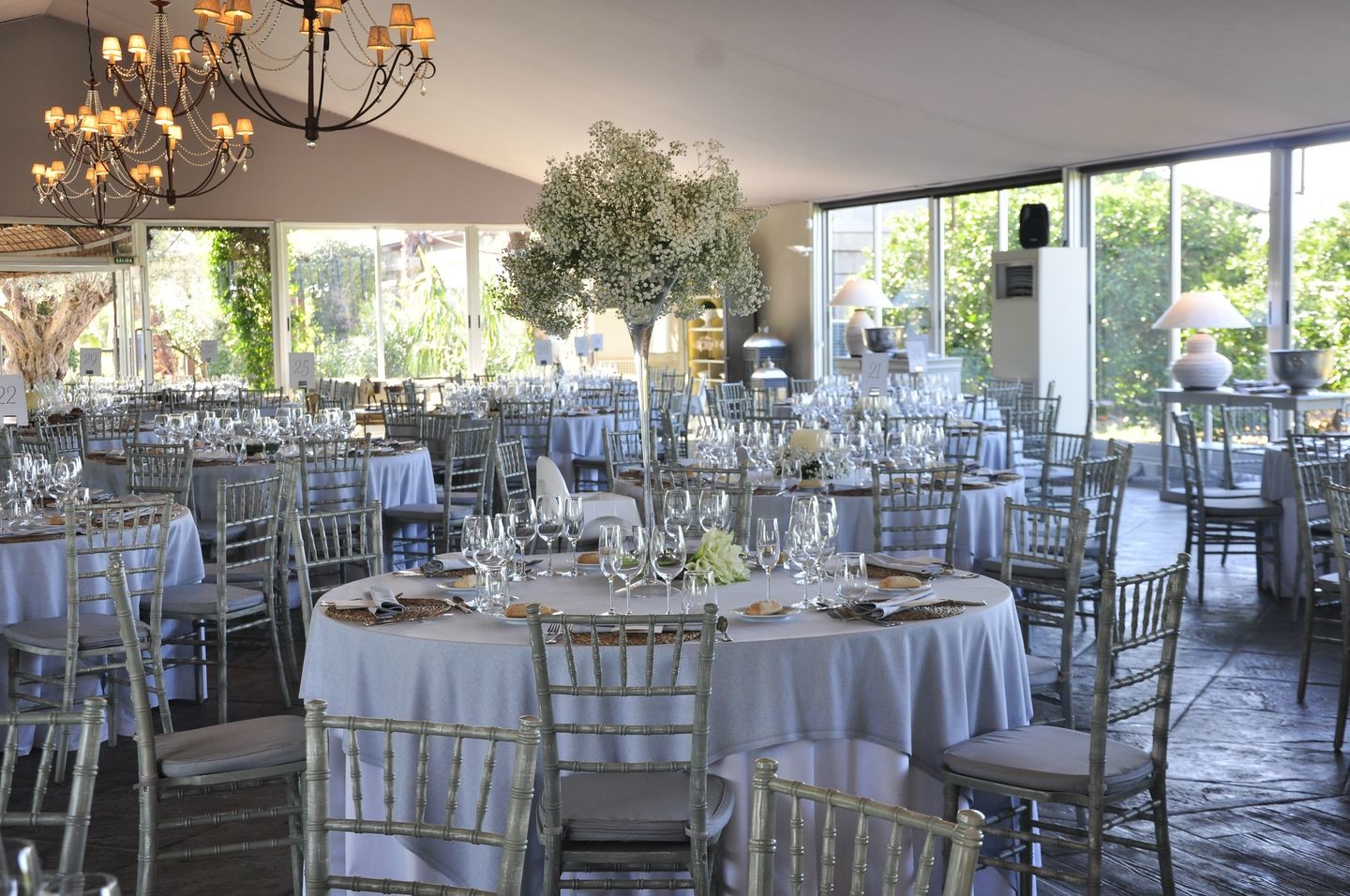 carmen al bert.jpg.17