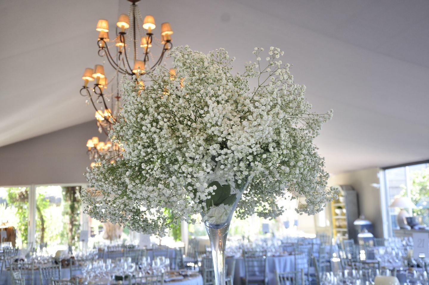 carmen al bert.jpg.5