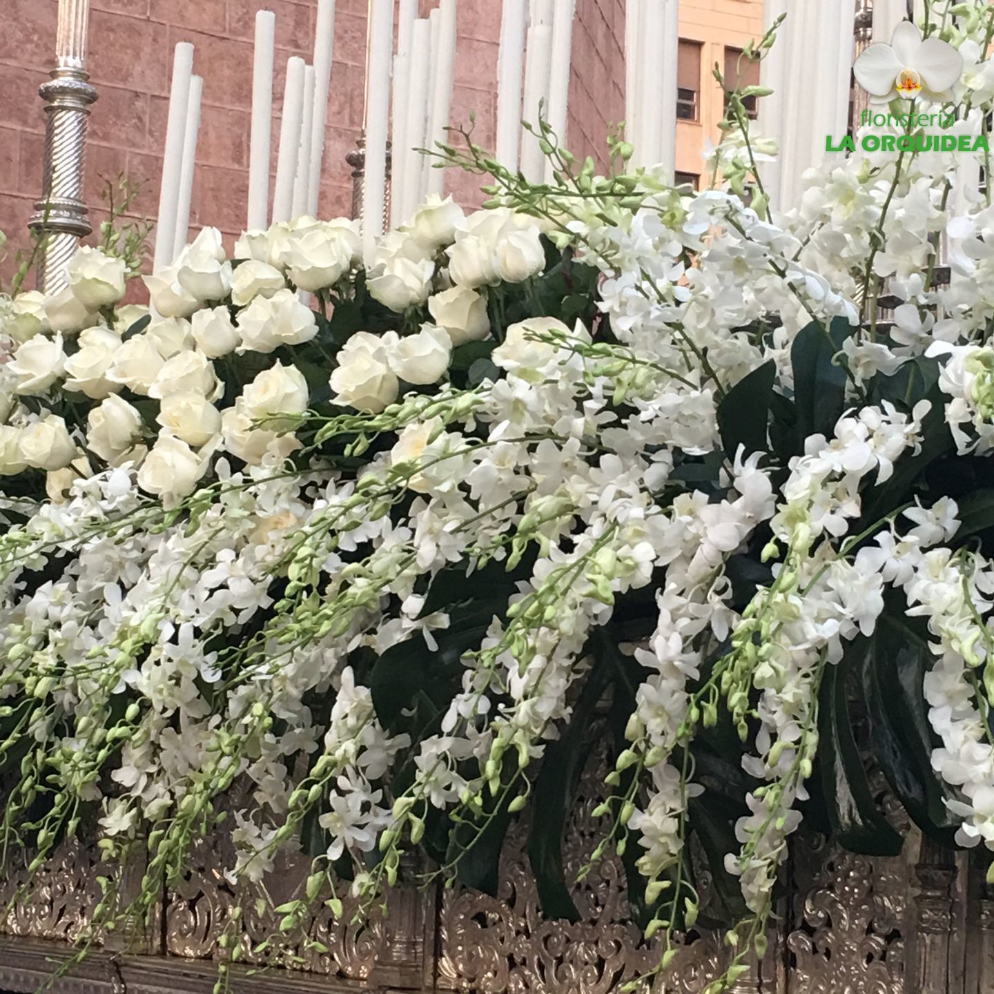 Dendros y Rosas