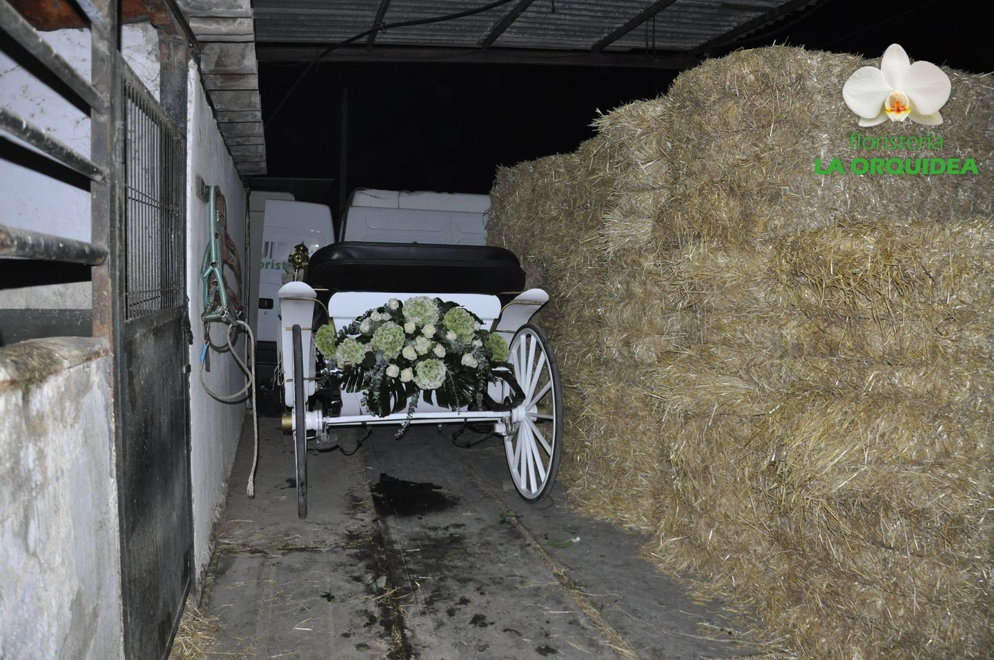 Boda de Irene & David