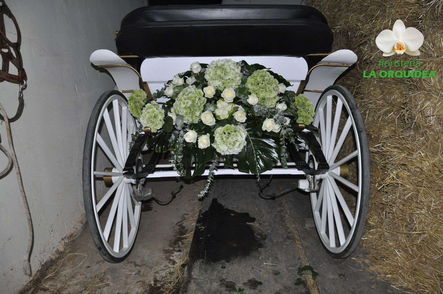 Boda de Irene & David