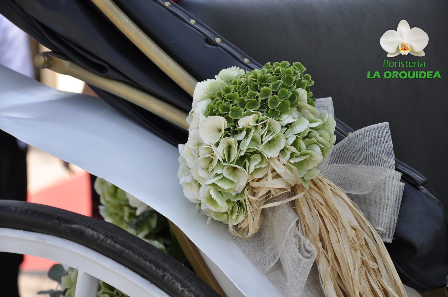 Boda de Irene & David