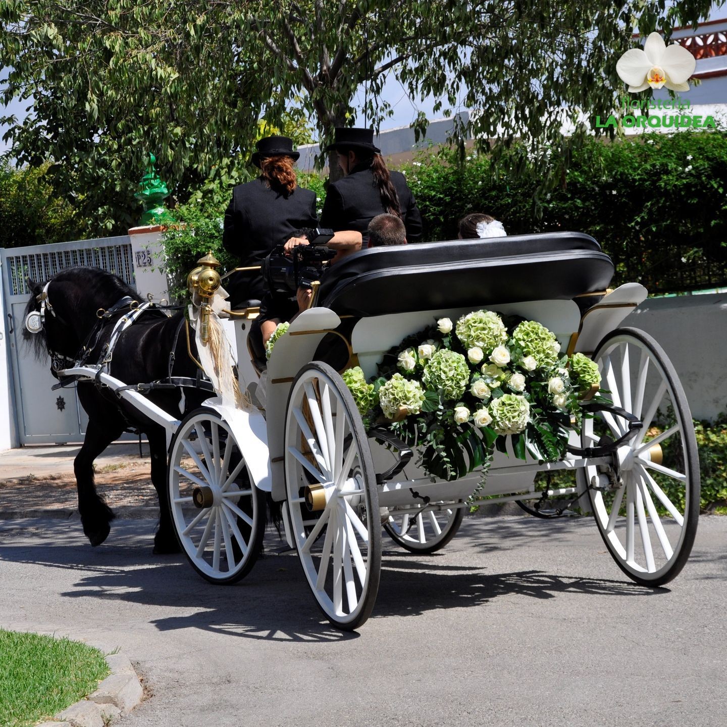 Boda de Irene & David