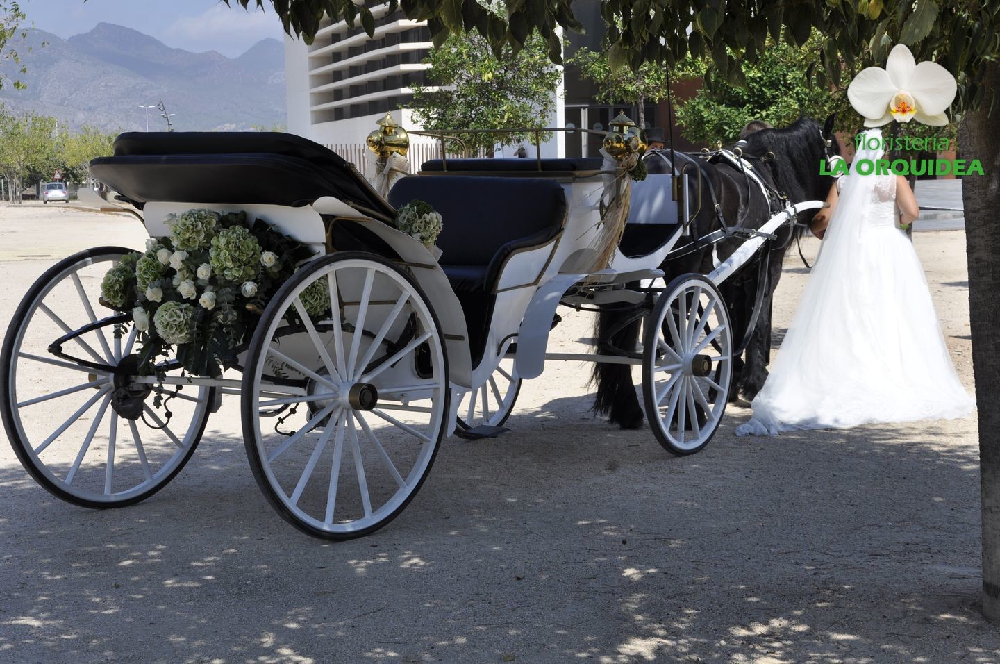 Boda de Irene & David