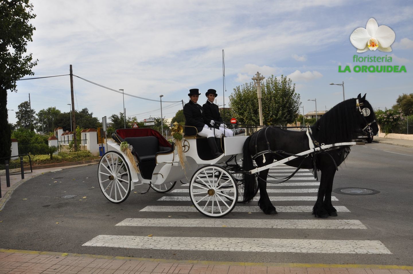 Boda de Irene & David