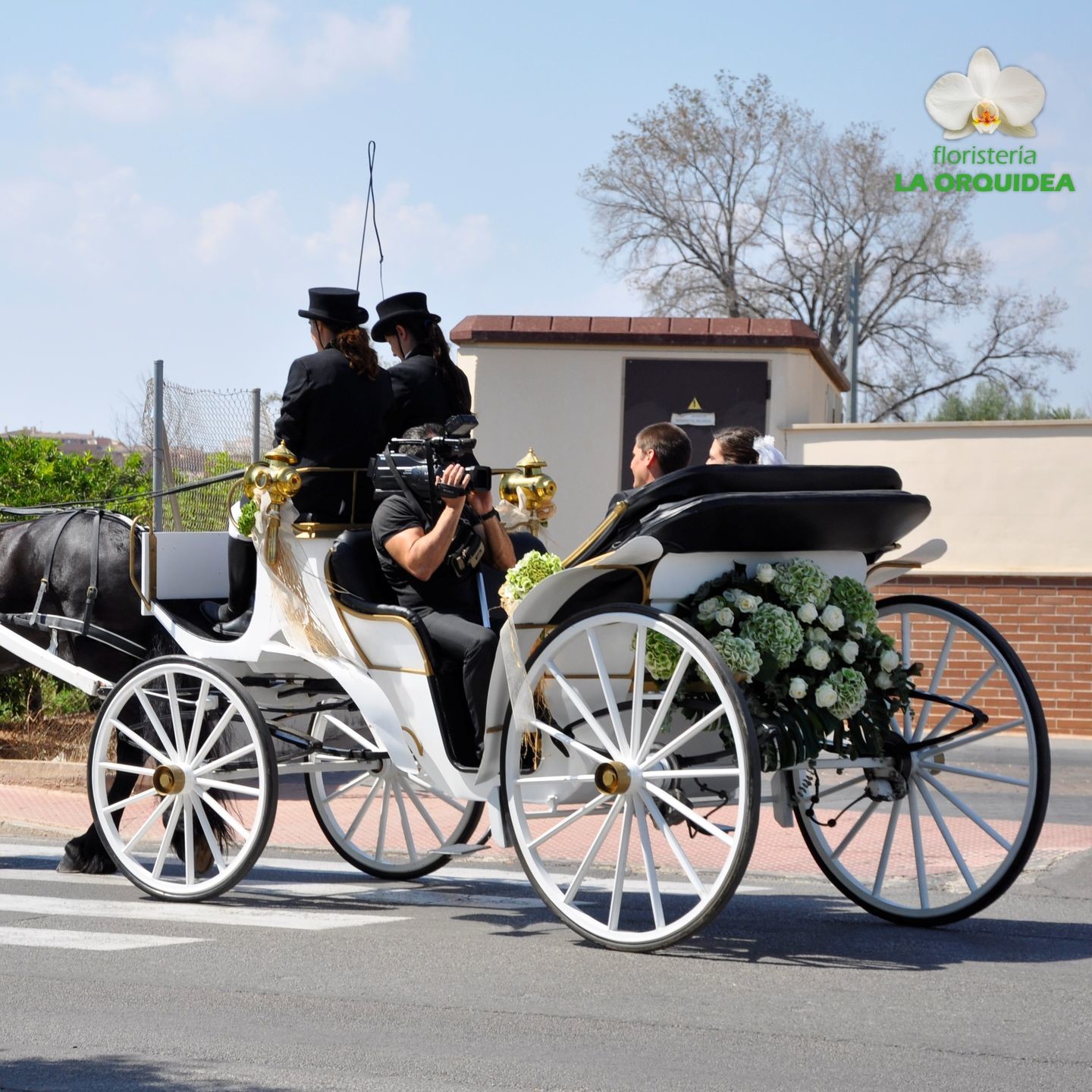 Boda de Irene & David