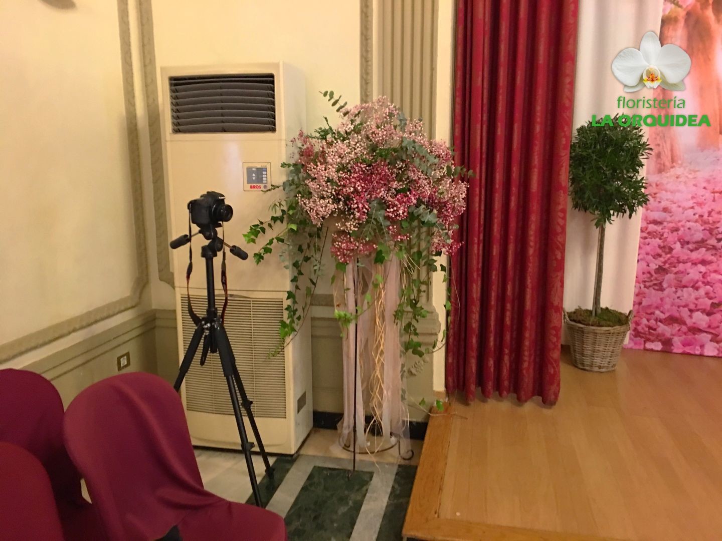 centro con paniculata.jpg izq