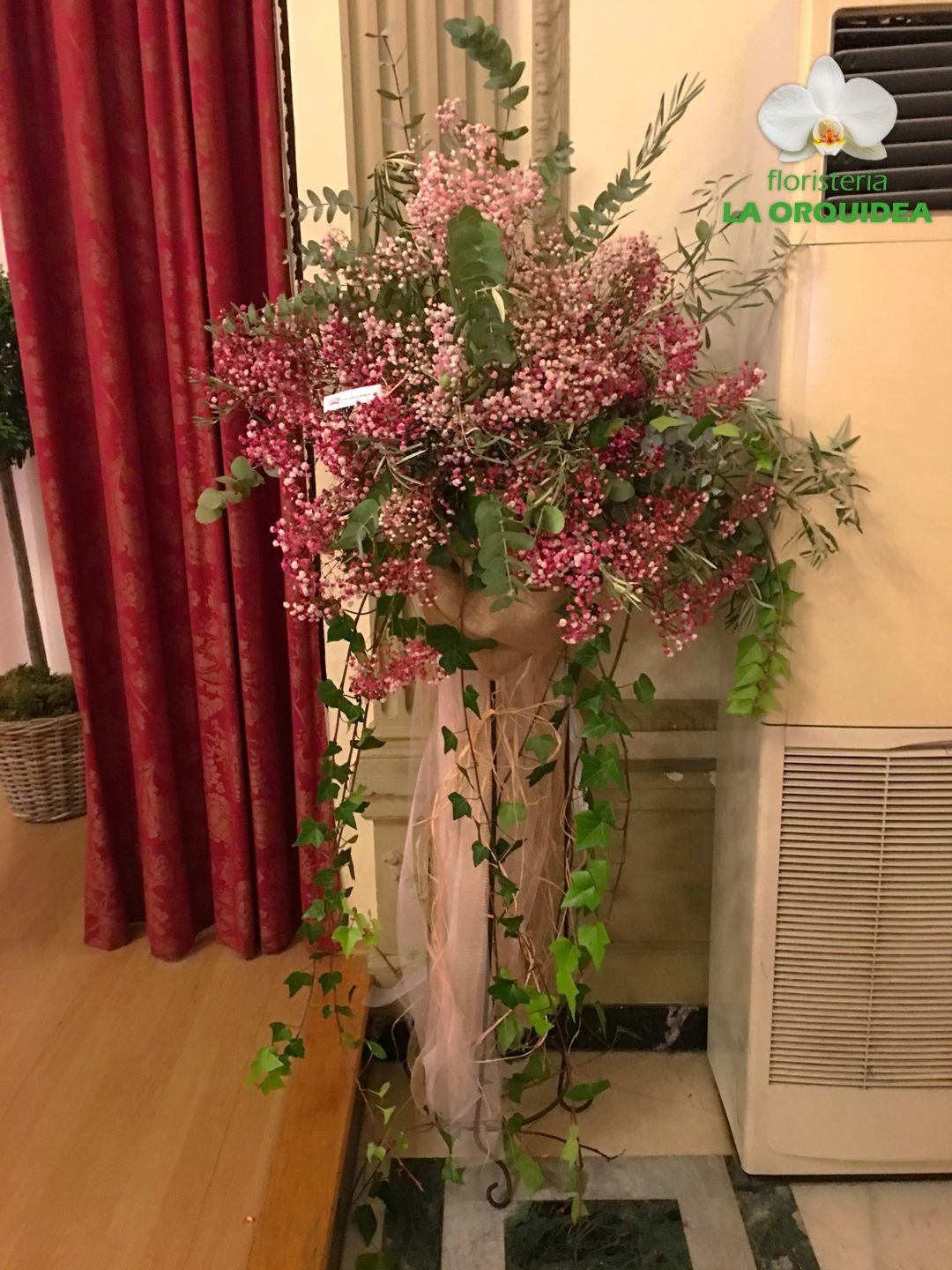 centro con paniculata